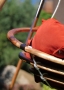 Подвесное деревянное кресло качели с подушками — комплект МАЙЯ SET